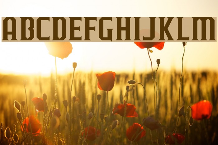 J-LOG Razor Edge Normal Font examples