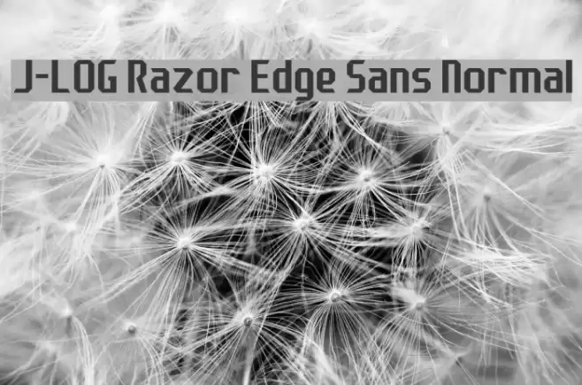 J-LOG Razor Edge Sans Normal フォント examples