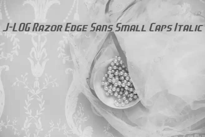 J-LOG Razor Edge Sans Small Caps Italic フォント examples