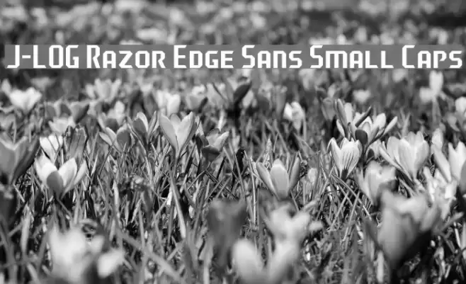 J-LOG Razor Edge Sans Small Caps 字体 examples