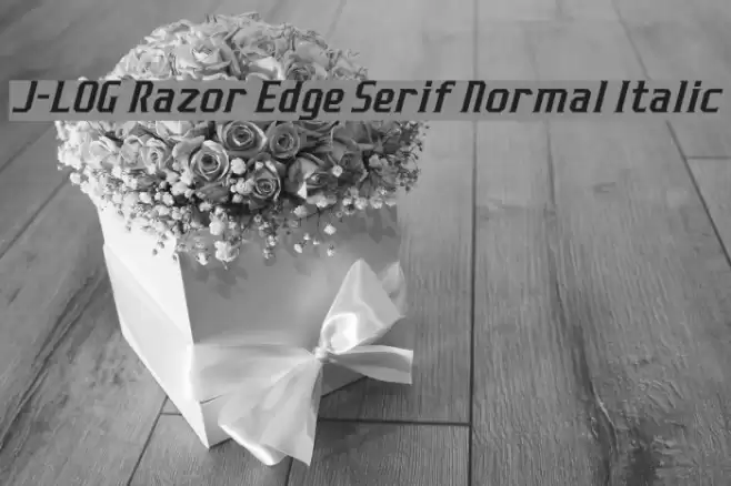 J-LOG Razor Edge Serif Normal Italic フォント examples