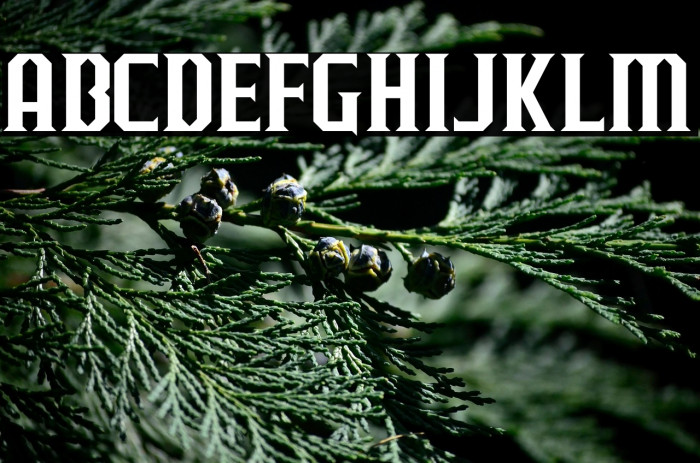 J-LOG Razor Edge Small Caps Example 3