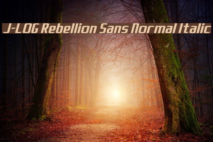 J-LOG Rebellion Sans Normal Italic フォント examples