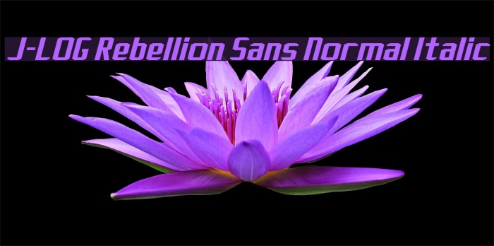J-LOG Rebellion Sans Normal Italic フォント examples