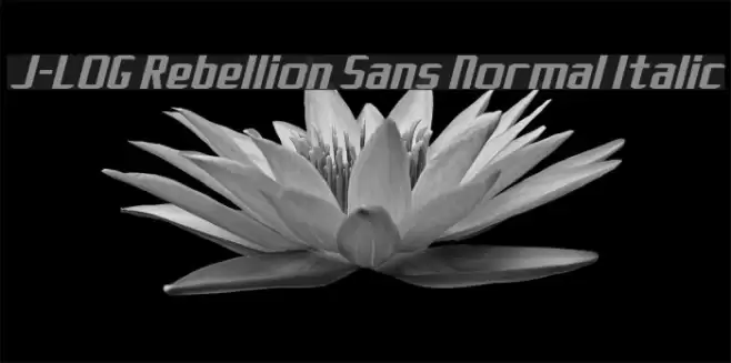 J-LOG Rebellion Sans Normal Italic Font examples
