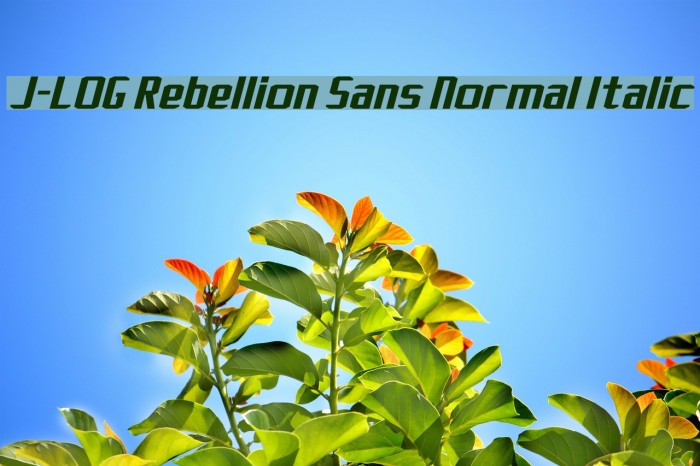 J-LOG Rebellion Sans Normal Italic フォント examples