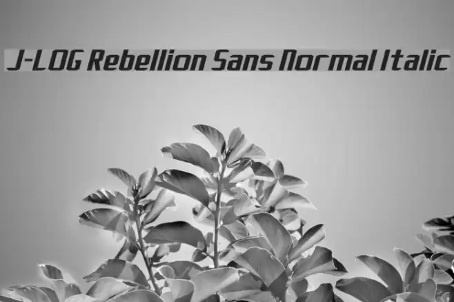 J-LOG Rebellion Sans Normal Italic Font examples
