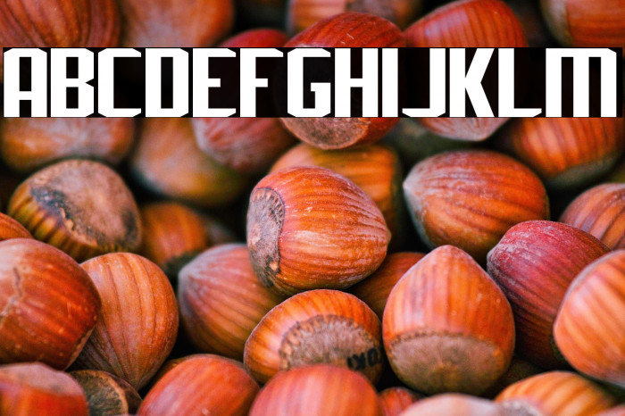 J-LOG Rebellion Sans Normal Example 2