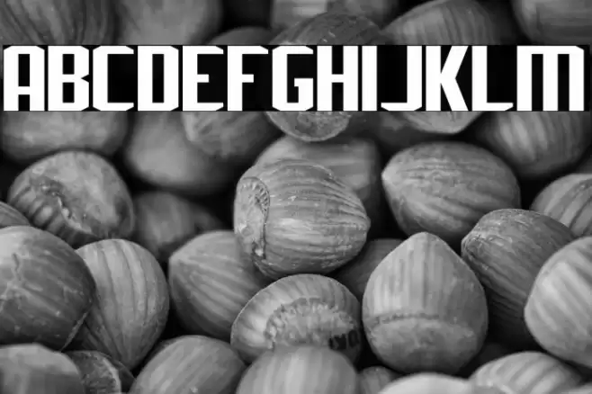 J-LOG Rebellion Sans Normal Шрифта examples