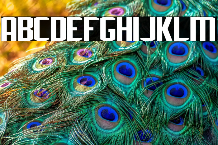 J-LOG Rebellion Sans Normal Example 3