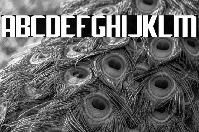 J-LOG Rebellion Sans Normal Шрифта examples