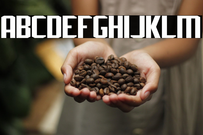 J-LOG Rebellion Sans Small Caps Example 1