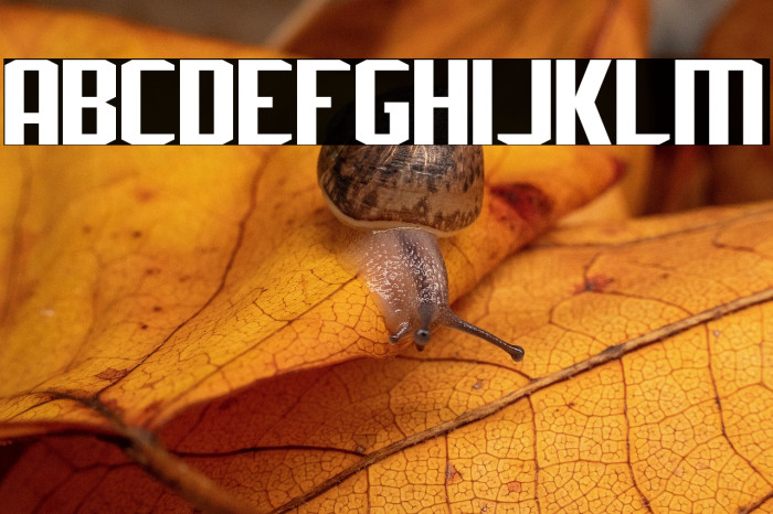 J-LOG Rebellion Sans Small Caps Example 2