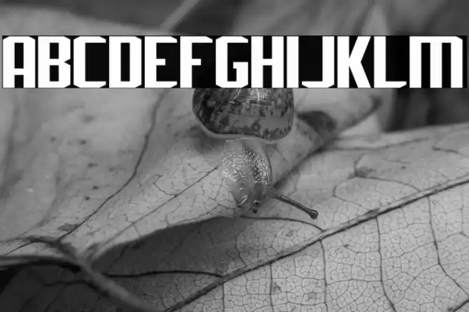 J-LOG Rebellion Sans Small Caps Font examples