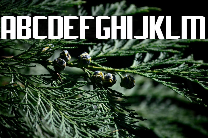 J-LOG Rebellion Sans Small Caps Example 3