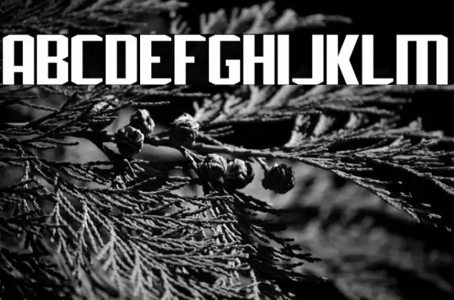 J-LOG Rebellion Sans Small Caps Font examples