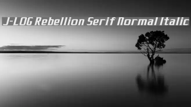 J-LOG Rebellion Serif Normal Italic フォント examples