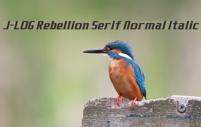 J-LOG Rebellion Serif Normal Italic Font examples