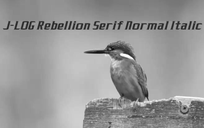 J-LOG Rebellion Serif Normal Italic フォント examples