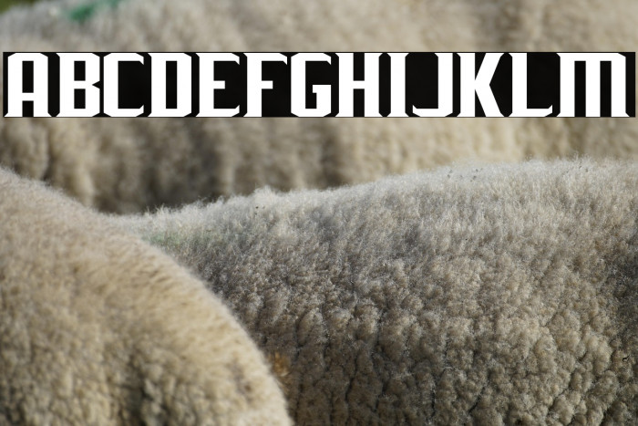 J-LOG Rebellion Serif Normal Example 3