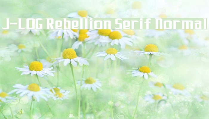 J-LOG Rebellion Serif Normal Font examples