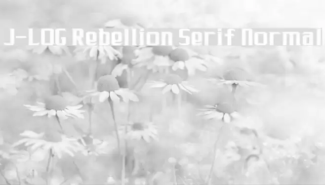 J-LOG Rebellion Serif Normal フォント examples