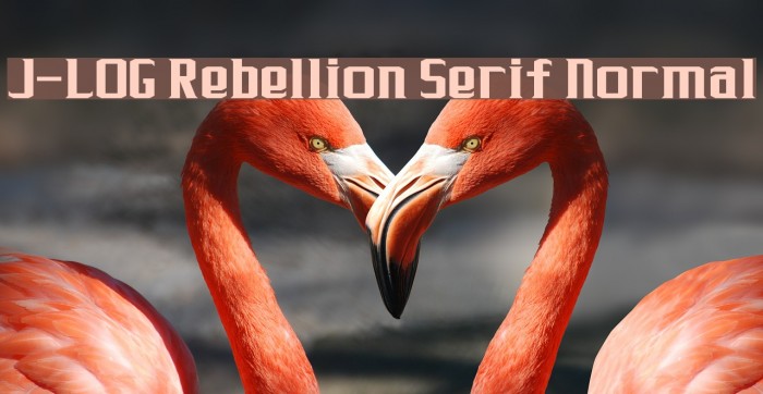 J-LOG Rebellion Serif Normal Font examples