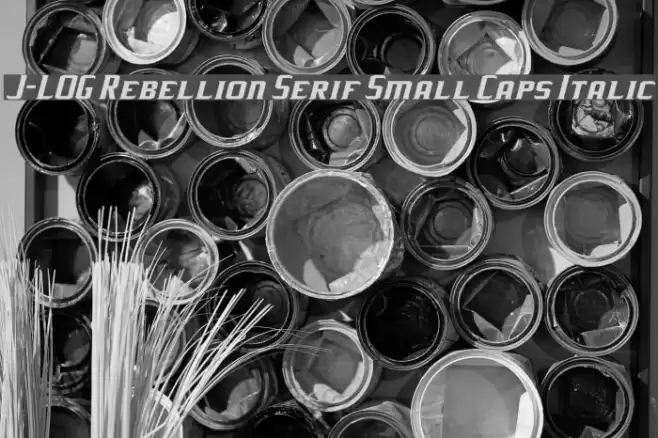 J-LOG Rebellion Serif Small Caps Italic Font examples