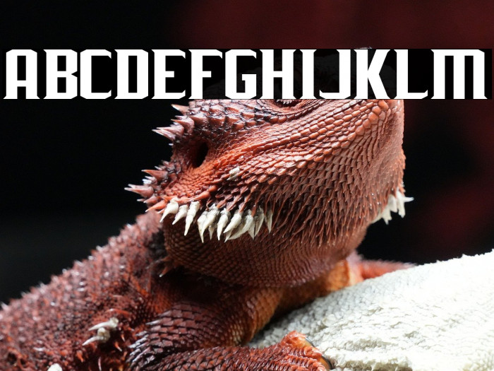 J-LOG Rebellion Serif Small Caps Example 2