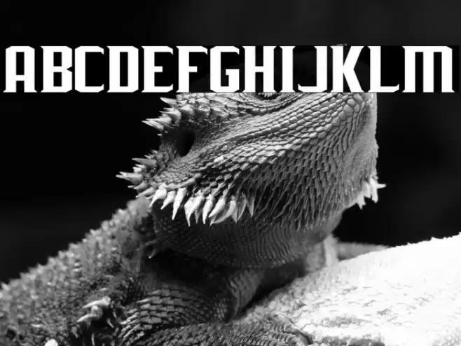 J-LOG Rebellion Serif Small Caps Шрифта examples