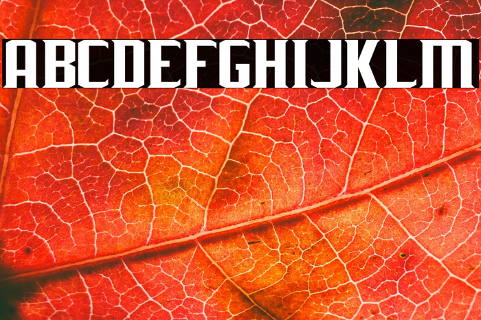 J-LOG Rebellion Serif Small Caps Example 3