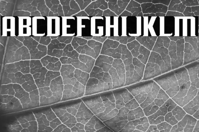 J-LOG Rebellion Serif Small Caps Шрифта examples