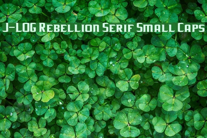 J-LOG Rebellion Serif Small Caps Font examples