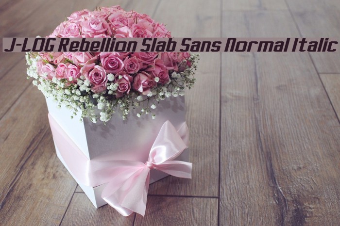 J-LOG Rebellion Slab Sans Normal Italic Font examples