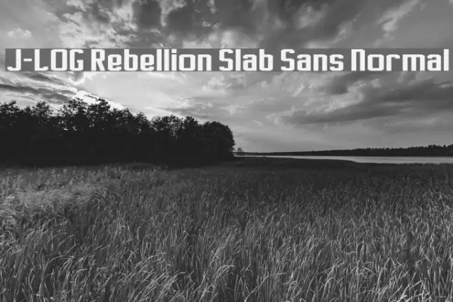 J-LOG Rebellion Slab Sans Normal Шрифта examples