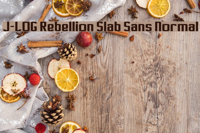 J-LOG Rebellion Slab Sans Normal Font examples