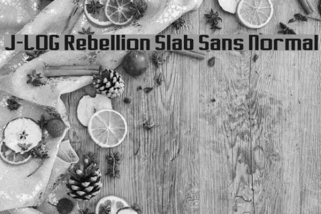 J-LOG Rebellion Slab Sans Normal Шрифта examples