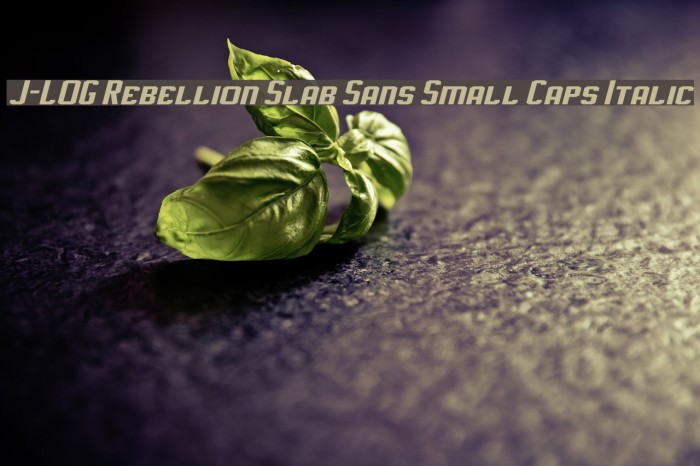 J-LOG Rebellion Slab Sans Small Caps Italic Font examples