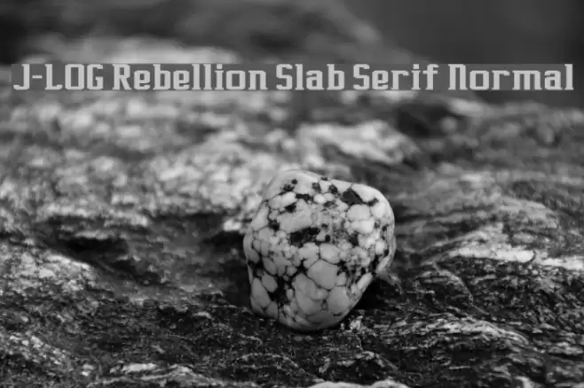 J-LOG Rebellion Slab Serif Normal Schriftart examples