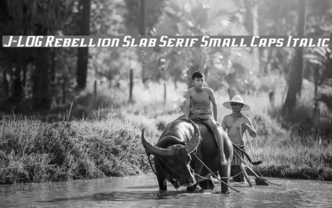 J-LOG Rebellion Slab Serif Small Caps Italic Schriftart examples
