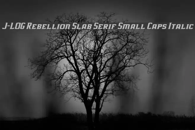 J-LOG Rebellion Slab Serif Small Caps Italic Schriftart examples