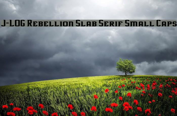 J-LOG Rebellion Slab Serif Small Caps Font examples