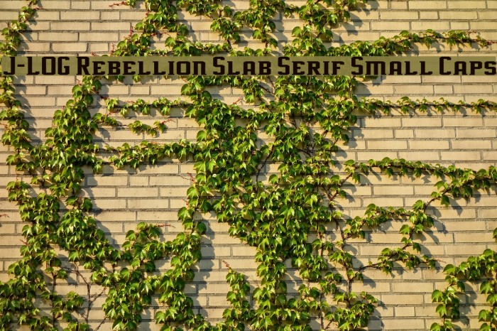 J-LOG Rebellion Slab Serif Small Caps Font examples