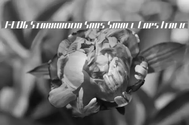 J-LOG Starkwood Sans Small Caps Italic フォント examples