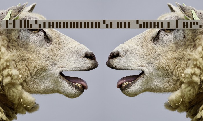 J-LOG Starkwood Serif Small Caps Font examples
