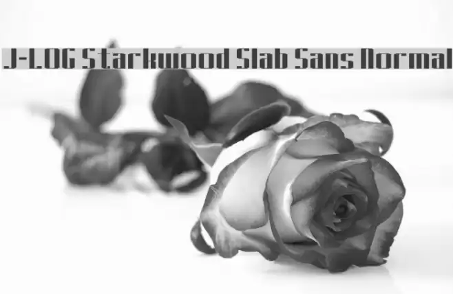 J-LOG Starkwood Slab Sans Normal フォント examples