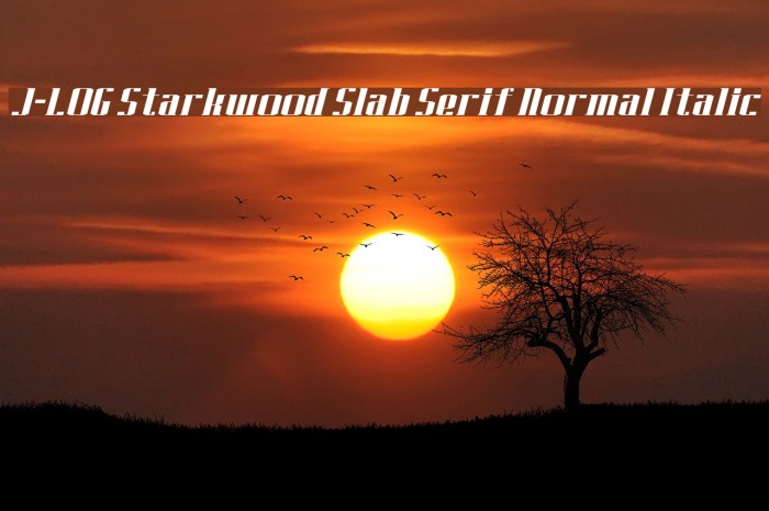J-LOG Starkwood Slab Serif Normal Italic Font examples