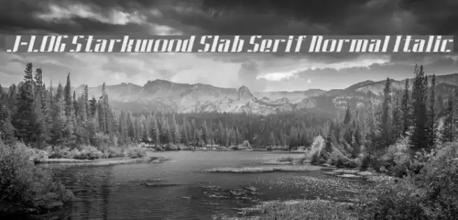 J-LOG Starkwood Slab Serif Normal Italic Шрифта examples