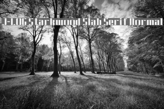 J-LOG Starkwood Slab Serif Normal Font examples