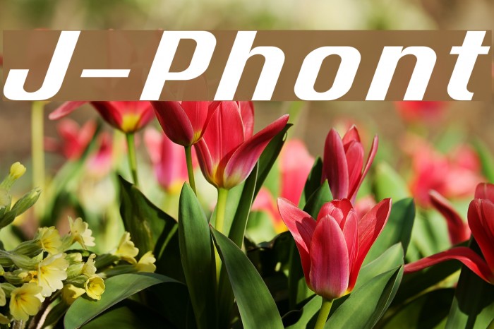 J-Phont Font examples
